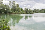 Tapfheim silting island Holzwörth 01 ND.jpg