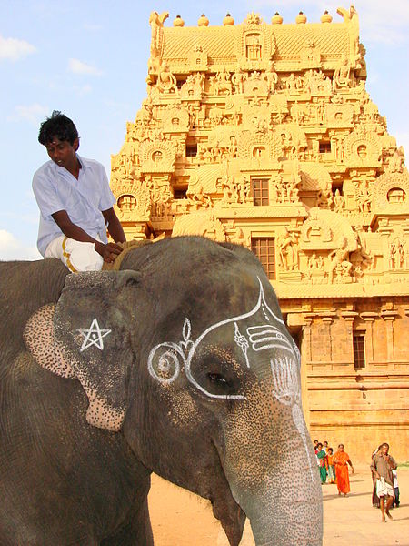 File:Temple Elephant and Rider - Brihadishwara Temple - Thanjavur - India.JPG