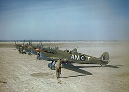 Des Spitfire Mark V de la Royal Canadian Air Force sur l'aérodrome de Goubrine en Tunisie, avril 1943