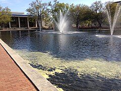The fountain and pond in front of Thomas Cooper Library