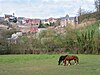 Los jardines colgantes de Thuin