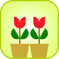 Tulip icon.svg