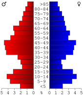 Bevolkingspiramide Lake of the Woods County