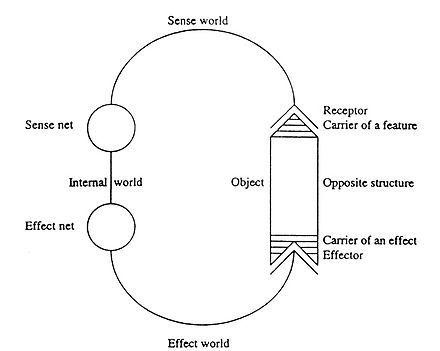 Schematic view of a cycle as an early biocyberneticist