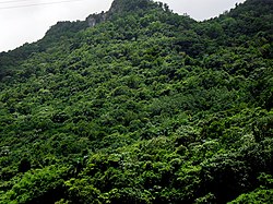 Blick auf den Río Abajo vom angrenzenden Río Arriba in Arecibo