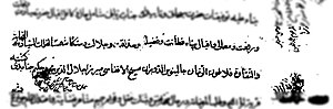 صفات میرزا جلال الدین محمد حکیم در اسناد