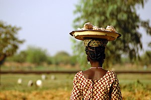 Burkina Faso: Dějiny, Státní symboly, Geografie