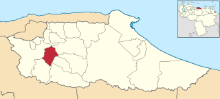 Cristóbal Rojas Municipality Municipality in Miranda, Venezuela