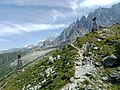 Dans les alpages, dominé par les aiguilles de Chamonix avec le Plan de l'Aiguille en arrière-plan sur la gauche.