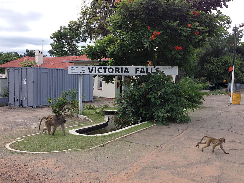 File:Victoria Falls Station Baboons.jpg
