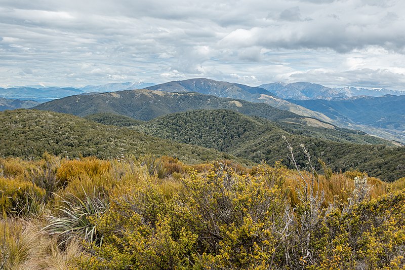 File:View from Mt Richardson, Mount Thomas Forest, Canterbury, New Zealand 02.jpg