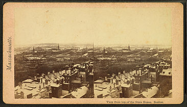 View of Charles St., Public Garden and Common, from State House, 19th century