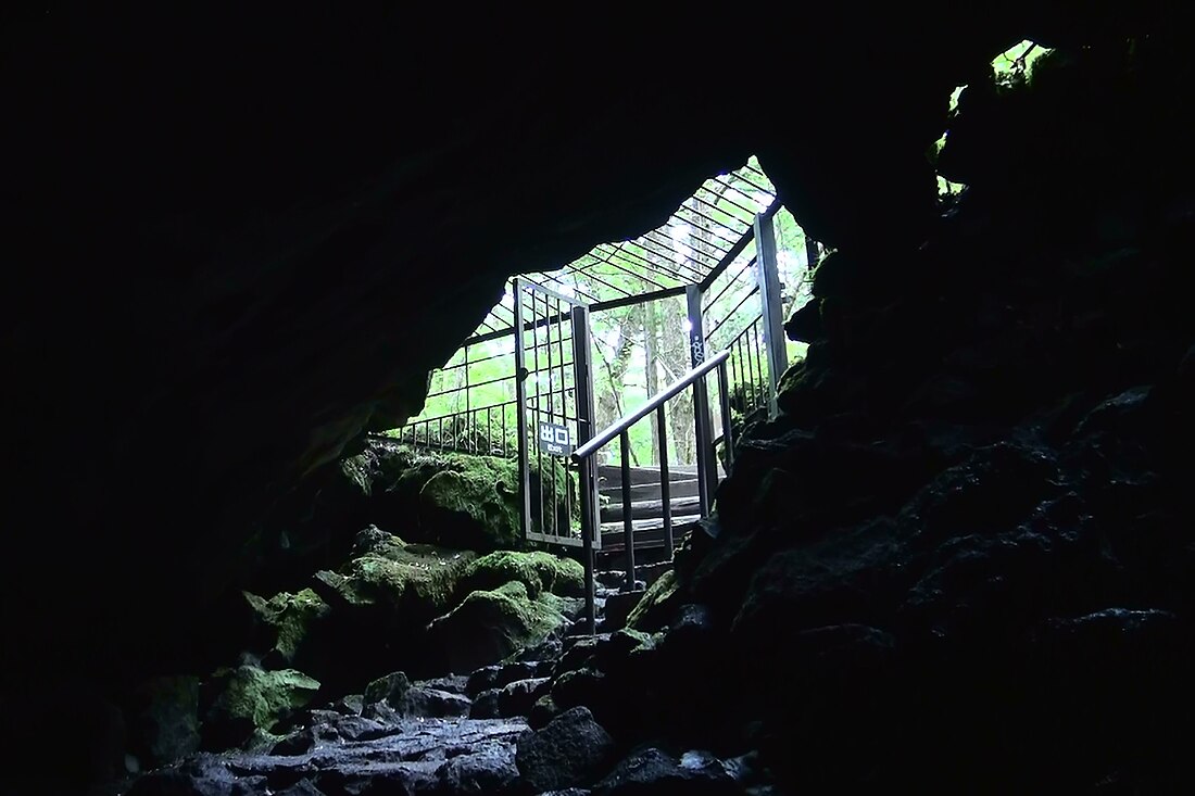 File:Viewed from outside the Lake Saiko Bat Cave.JPG