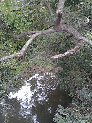 <span class="mw-page-title-main">Vineyard Creek (New South Wales)</span> River in New South Wales, Australia