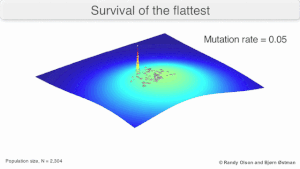 This visualization of "survival of the flattest" in evolutionary biology. Visualization demonstrating survival of the flattest.gif
