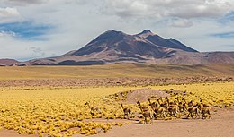 Volcan Miñiques, Chili, 2016-02-08, DD 48.JPG