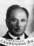 Владимир Иванович Сливицкий (1951)