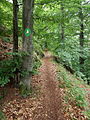 osmwiki:File:Waldweg Hexenstieg (2).JPG
