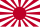 Vlag van het keizerlijke Japanse leger