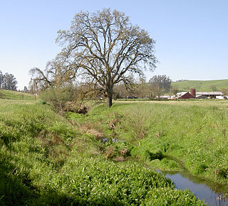 <span class="mw-page-title-main">Washoe Creek</span> River in California, United States