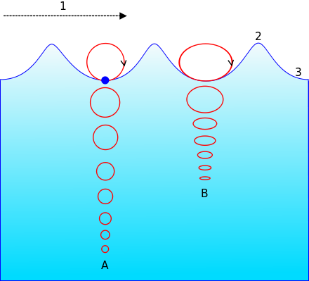 Falowanie wody. A – Na głębinach, kołowy ruch cząsteczek maleje z głębokością. B – Na płyciznach. Ruch kołowy zamienia się na eliptycznie spłaszczony – tym bardziej im płytsza jest woda. 1 – kierunek propagacji. 2 – grzbiet fali. 3 – dolina fali
