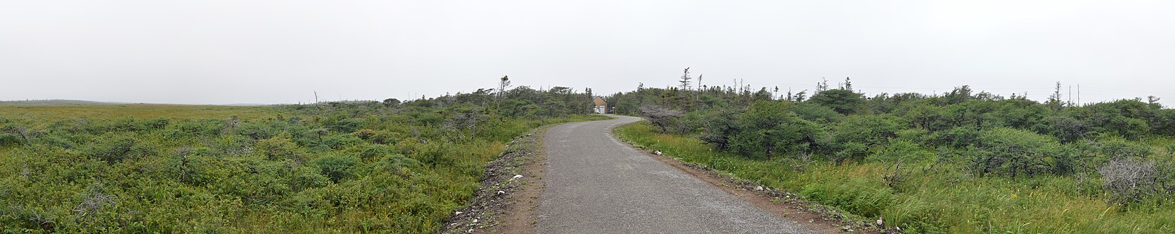 180° Panorama of Western Brook Pond Trail