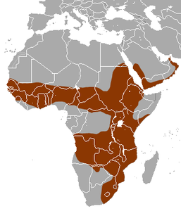 White-tailed Mongoose area.png