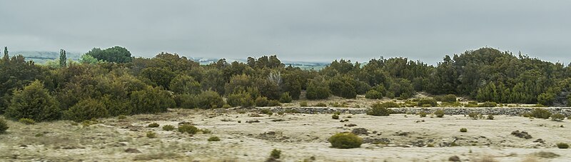 File:Wilderness Scientific Reserve 01.jpg