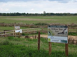 Fen - Wikipedia