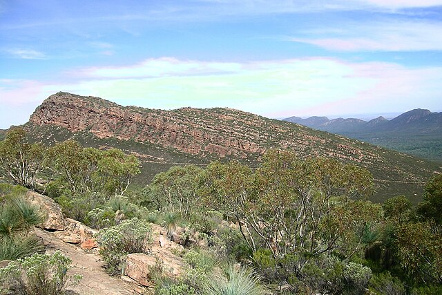 A mountain in Wilpena Pound showing characteristic layered syncline