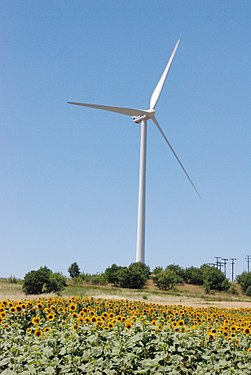 A wind turbine behind a field with sunflowers, in northern Greece.