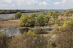 The Lower Vistula Valley