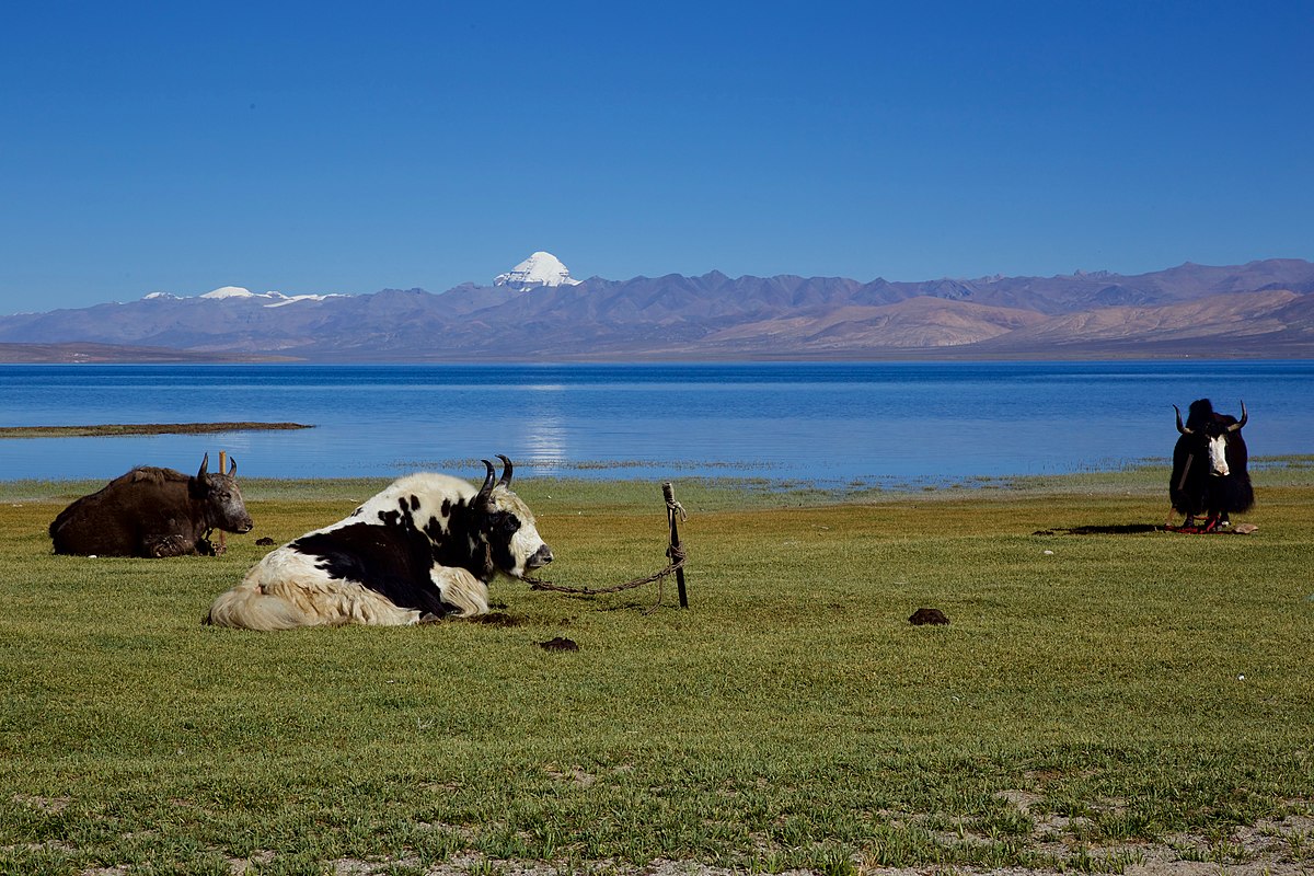 Lake Manasarovar - Wikipedia