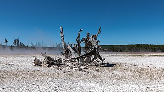 Yellowstone National Park (WY, USA), Lower Geyser Basin -- 2022 -- 2401