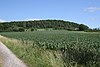 Vue depuis la chapelle Weißenborn ou Weißenbrunnskirche (est-sud-est de Mackenzell) vers l'est jusqu'au Zinkberg