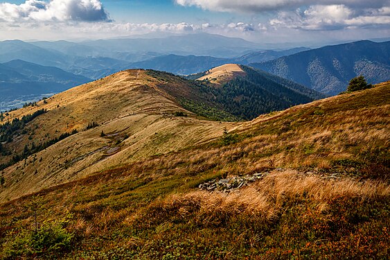 Осінні гори. Національний парк Синевир Photograph: Zysko serhii