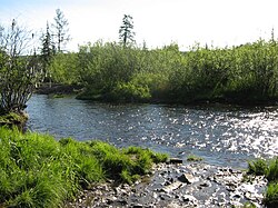 De rivier Maly Berkakit