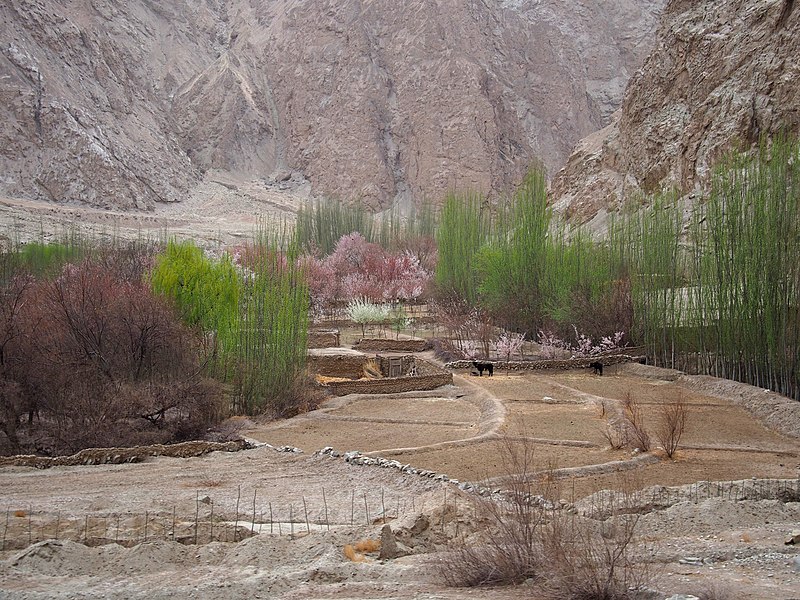 File:柳绿花红 - Colors of Spring - 2015.04 - panoramio.jpg