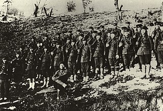 <span class="mw-page-title-main">Battle of Qingshanli</span> 1920 Korean militia-Japanese battle