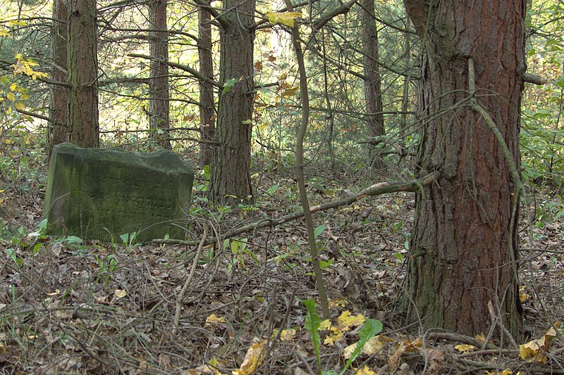 File:-L1470663 Cmentarz żydowski w Janowie Jewish cemetery in Janow.jpg