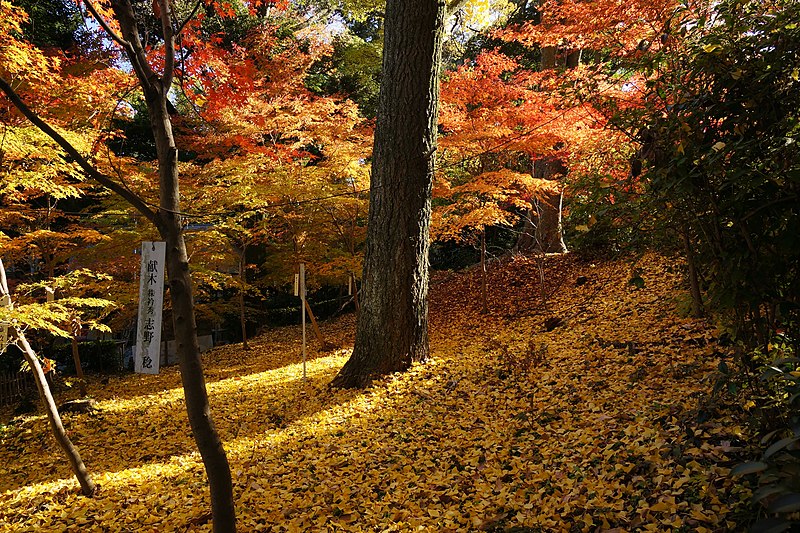 File:131130 Nagaoka-tenmangu Nagaokakyo Kyoto pref Japan08s3.jpg