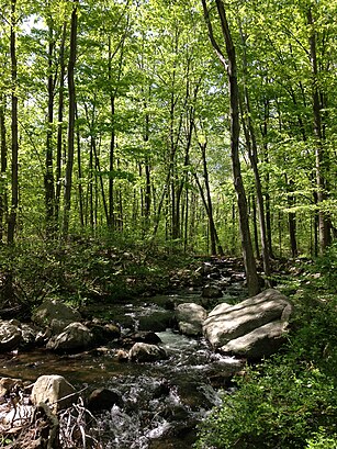 How to get to Ramapo Mountain State Forest with public transit - About the place