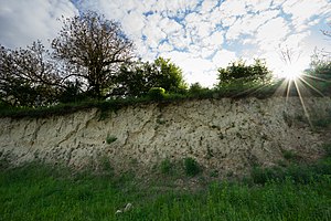 20170520-Nature reserve Lehmgrube am Heulenberg 3.jpg