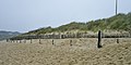 Ganivelles mises en place pour tenter de freiner le recul de la dune sous l'action de l'érosion marine sur la plage du Loc'h.