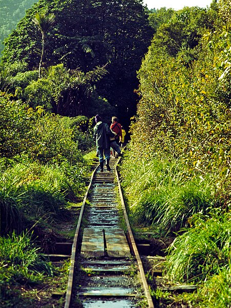 File:462 Waitakeres, July 1980 (52246324142).jpg