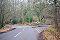 A Woodland Crossroads - geograph.org.uk - 342636.jpg