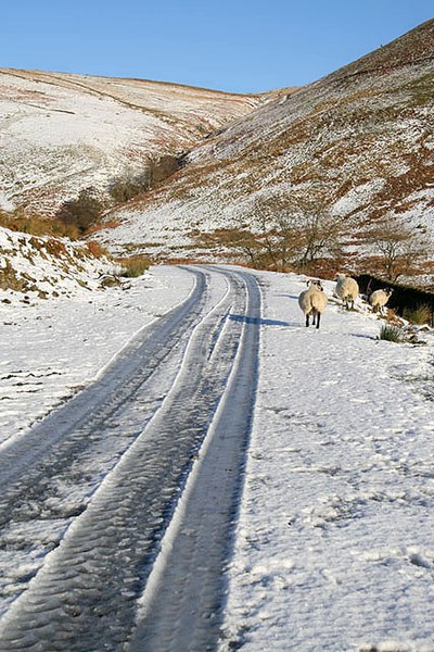 File:A track at Rigfoot - geograph.org.uk - 1078175.jpg