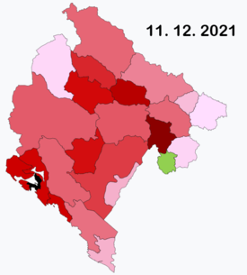 COVID-19 pandemic in Montenegro Ongoing COVID-19 viral pandemic in Montenegro