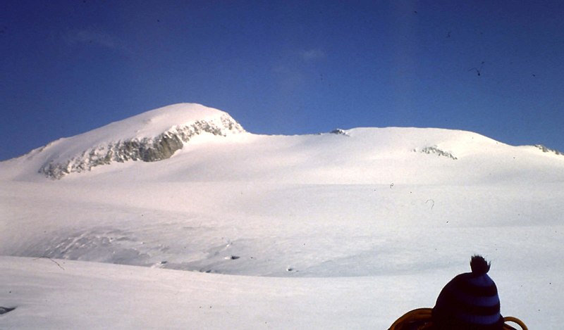 File:Adamello+pian di neve.jpg