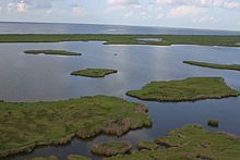 Aerial View of Marsh Aerial-view-of-marsh.jpg